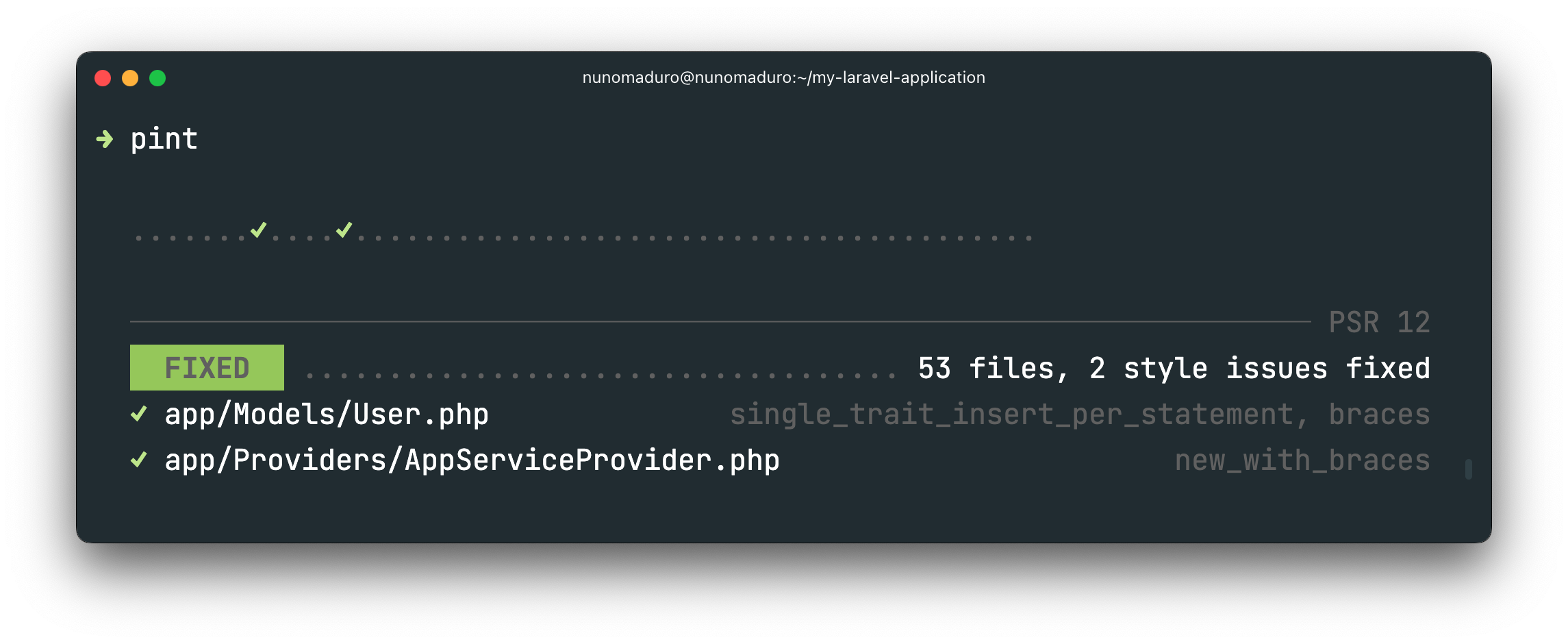 Laravel Pint formatting Pint in Laravel